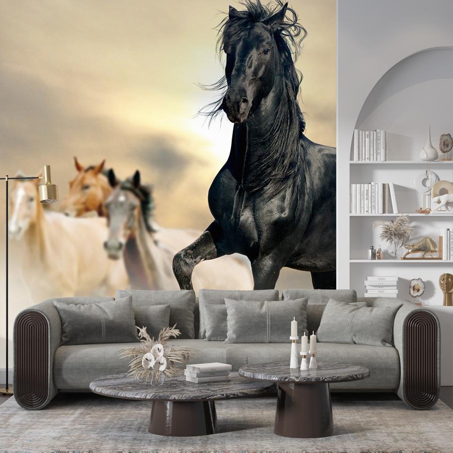 фотообои конь черный 9-1771