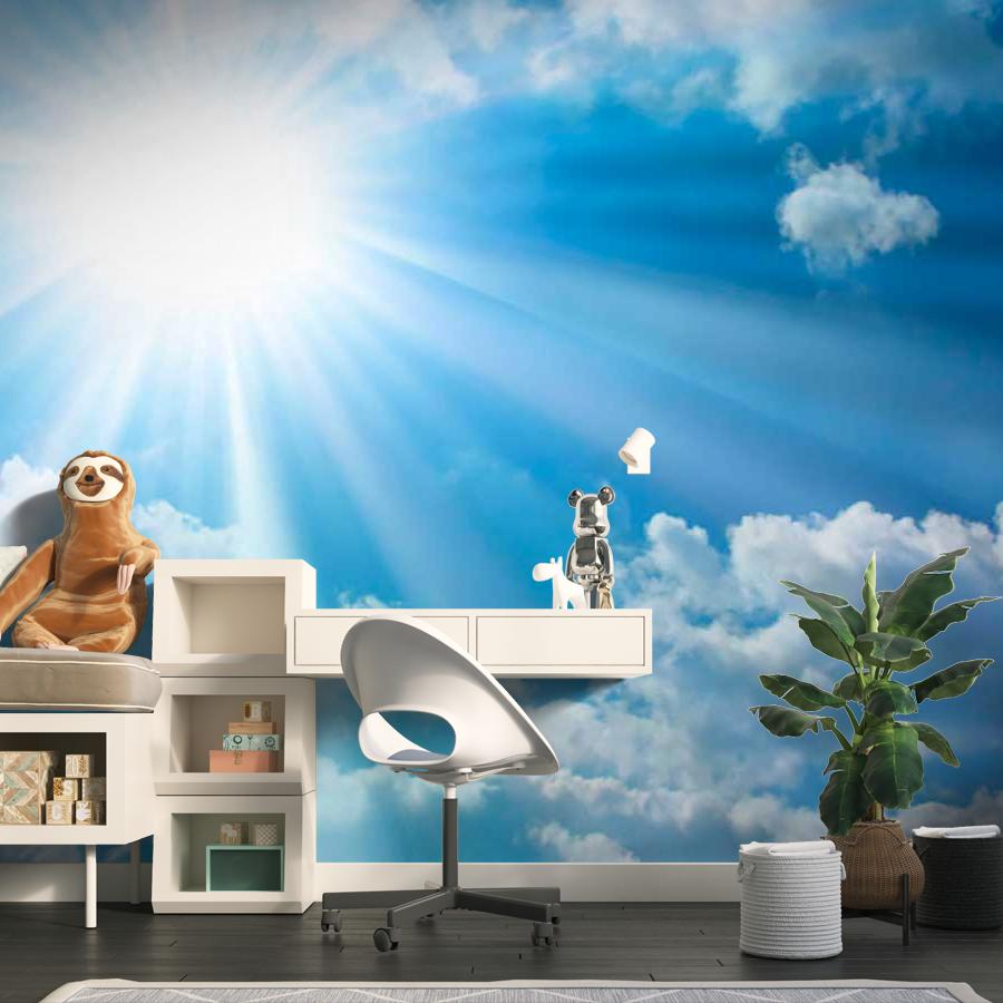 фотообои лучи солнца на молчаливом небе 9-389