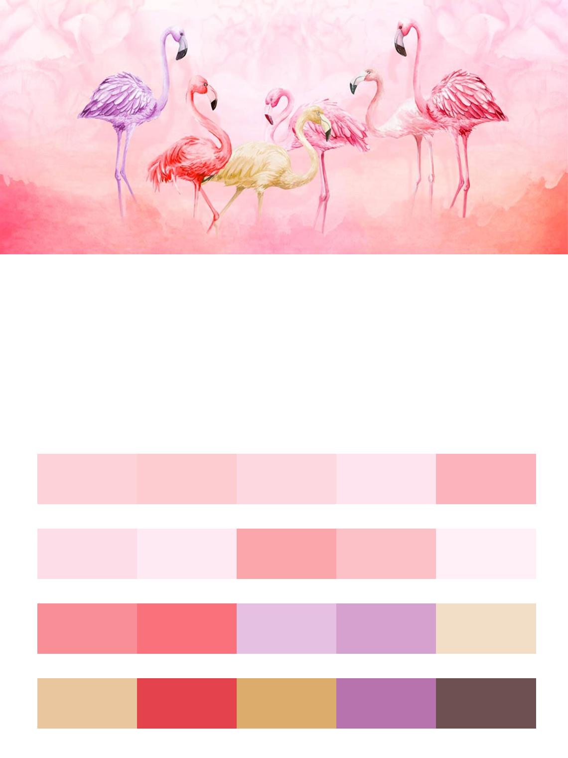 Фламинго на розовом фоне цвета