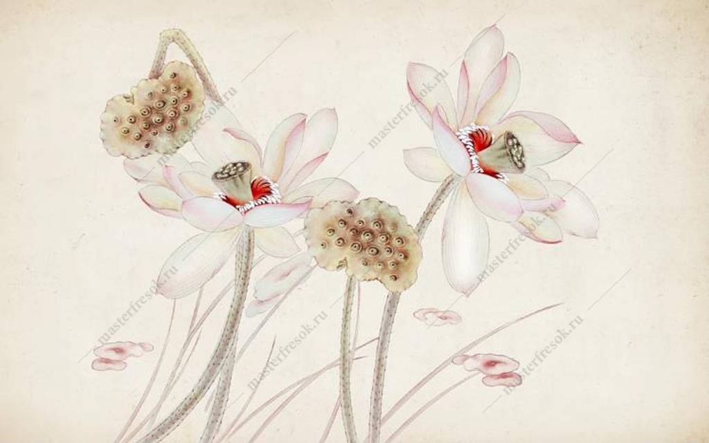 Фотообои Орхидеи акварелью