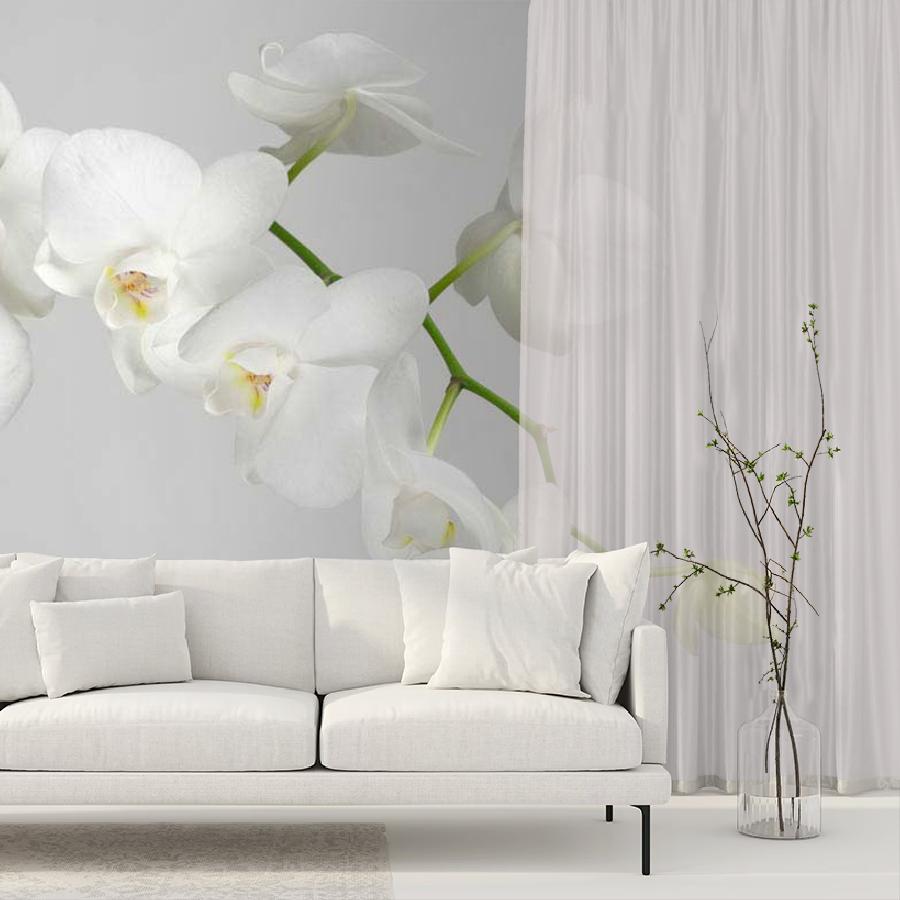 фотообои белая орхидея пышная 10-159