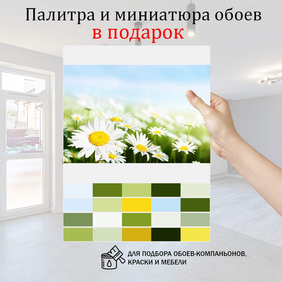 фотообои полевые ромашки 10-354