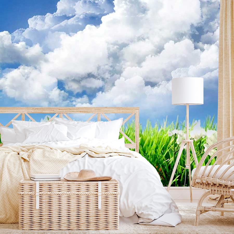 фотообои большие ромашки 3 д в поле и белые облака 9-388