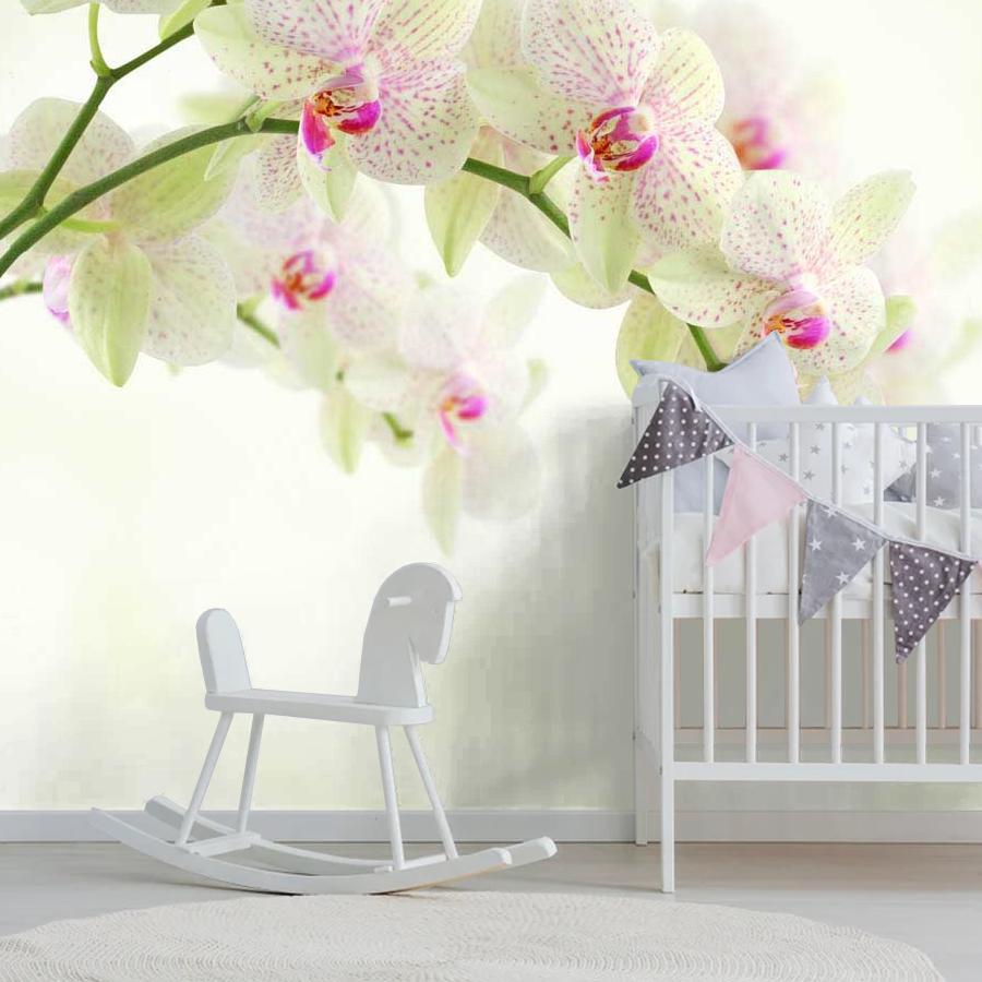 фотообои белая орхидея с розовым пигментом 10-164
