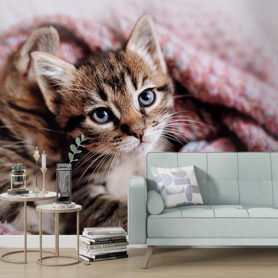 фотообои два котенка 12-1664