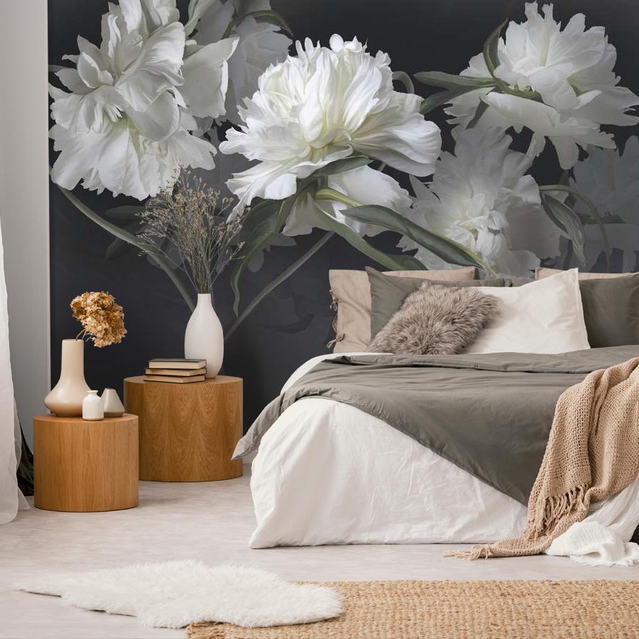 фотообои белые цветущие пионы на темно сером фоне 13-1008
