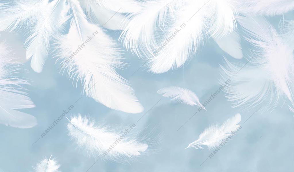Фотообои Белые перья