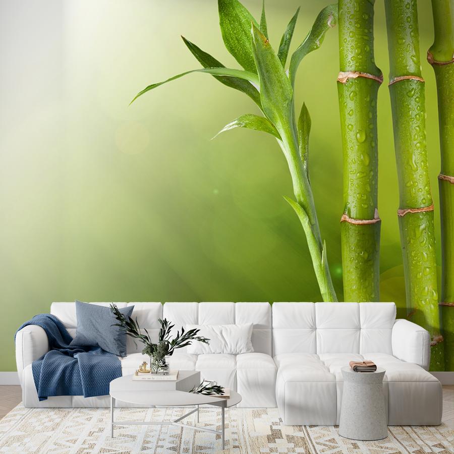фотообои бамбук фон 9-1760