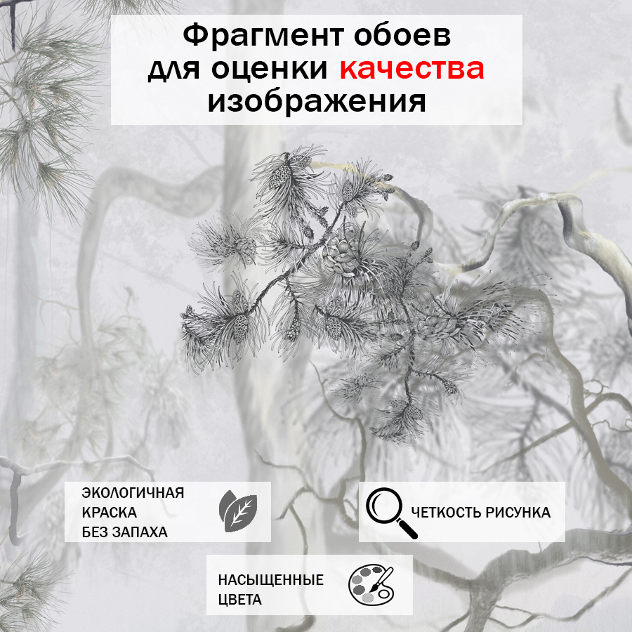 фотообои сосновый лес 13-010