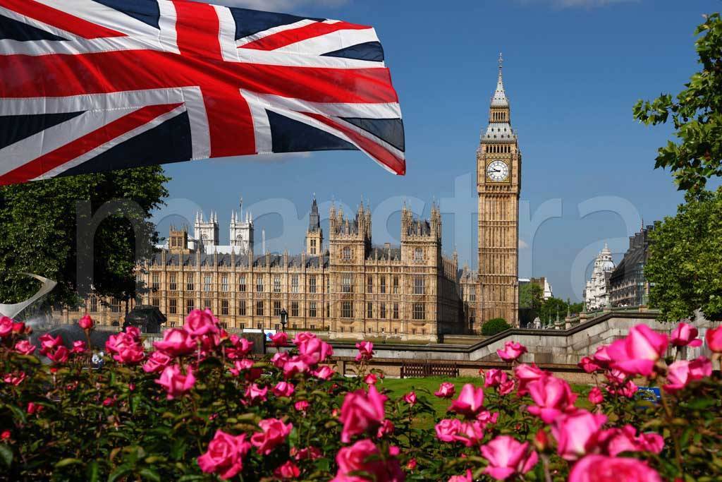 Фотообои Лондон и цветы
