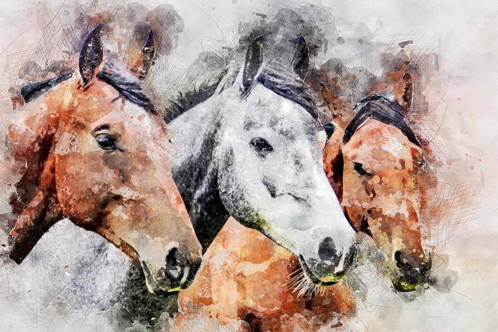 Фотообои Три коня в акварели