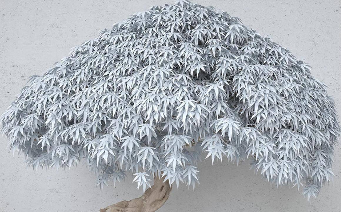 Фотообои Стереоскопическое дерево серое