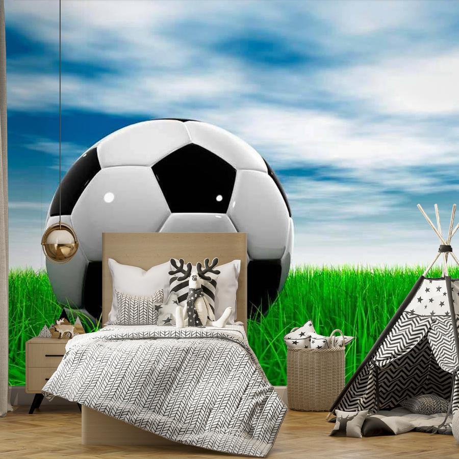 фотообои мяч на фоне неба 12-531