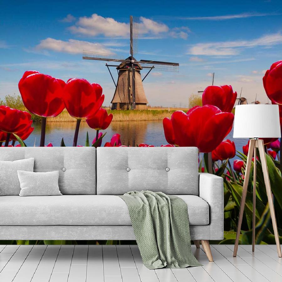 фотообои красные тюльпаны 10-139