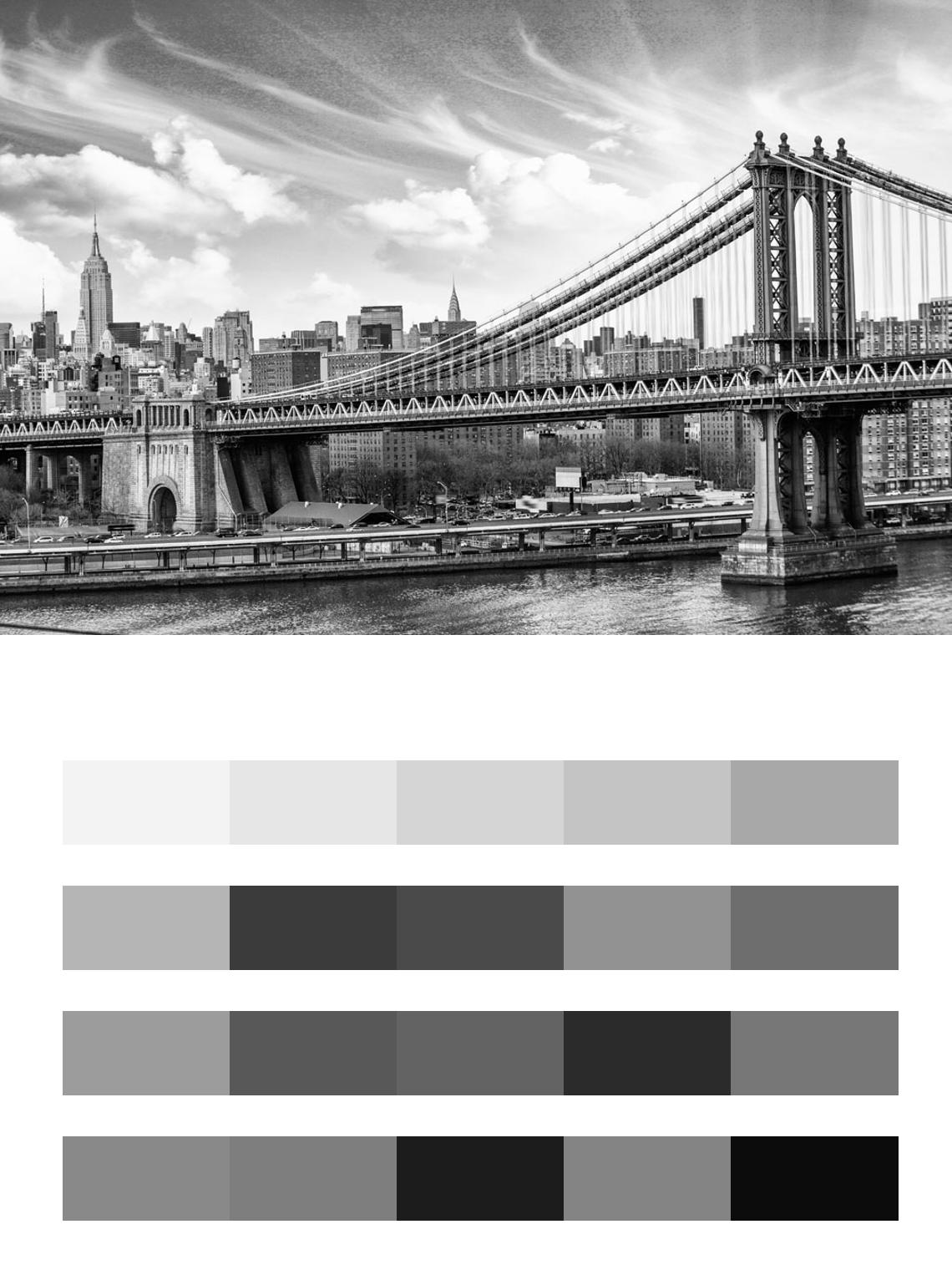 Мост черно белый до Бруклина цвета