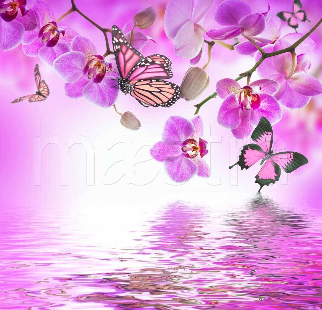 Фотообои Фиолетовая орхидея над водой и бабочки
