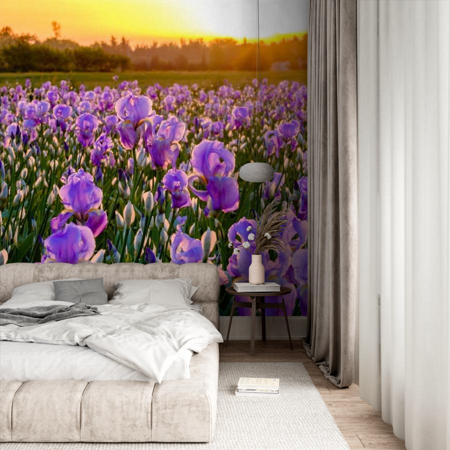 фотообои ирисовые поля 10-006