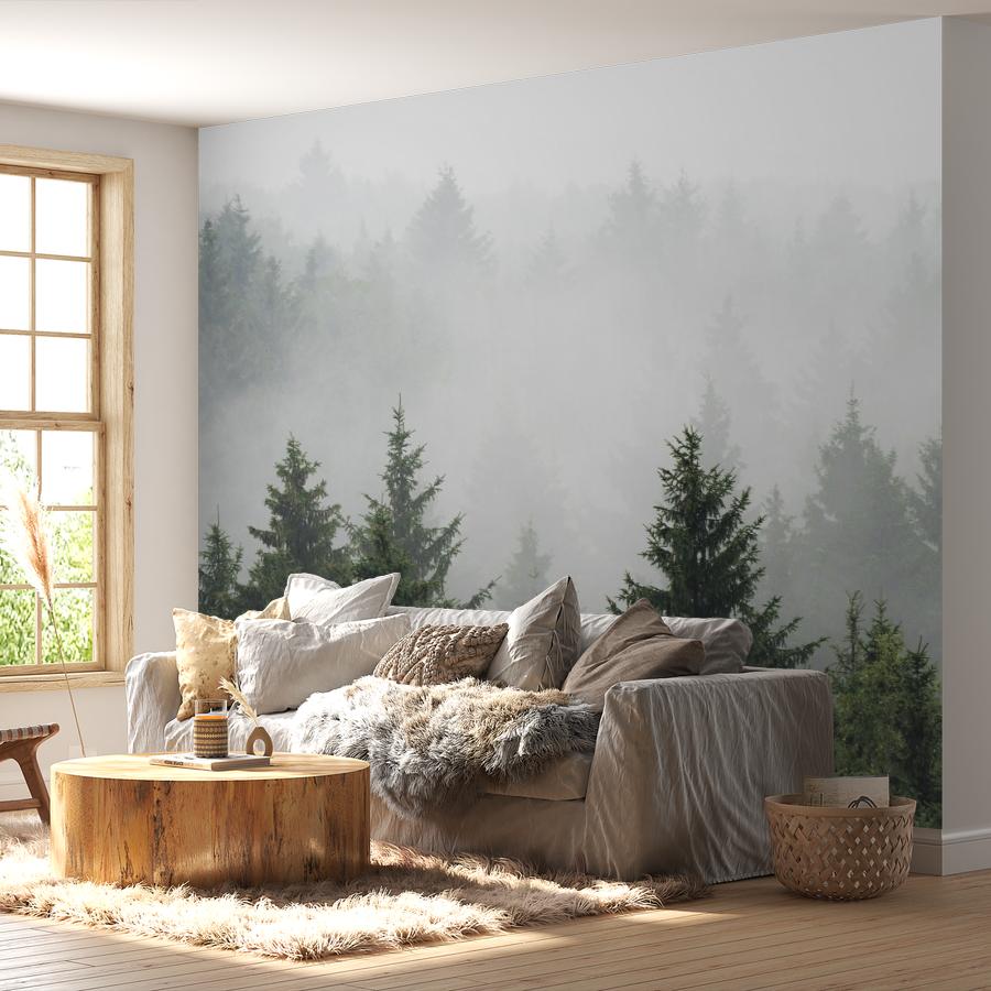 фотообои туман в утреннем лесу 9-1215