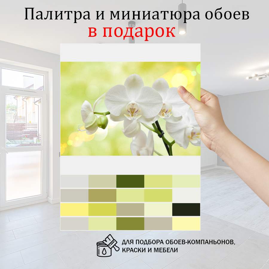 фотообои белая орхидея на зеленом фоне 10-184