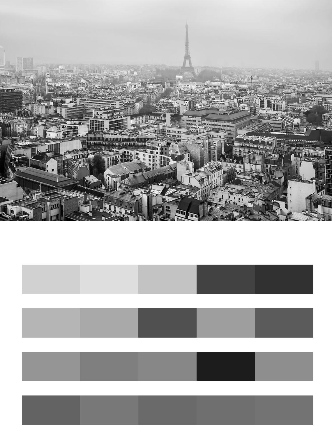 Черно белый Париж цвета