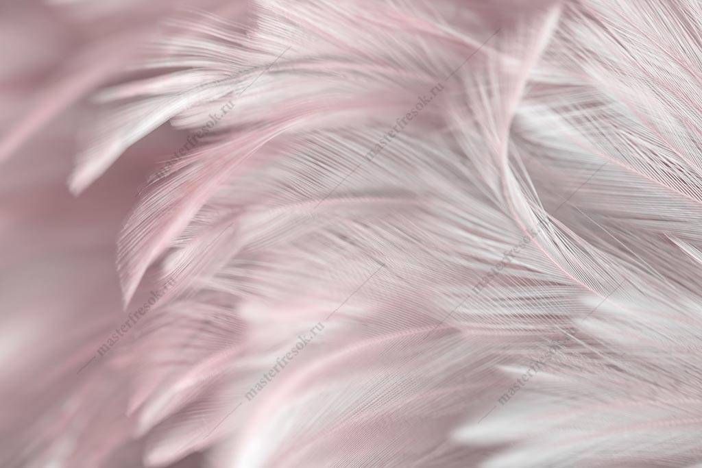 Фотообои Розовые перышки
