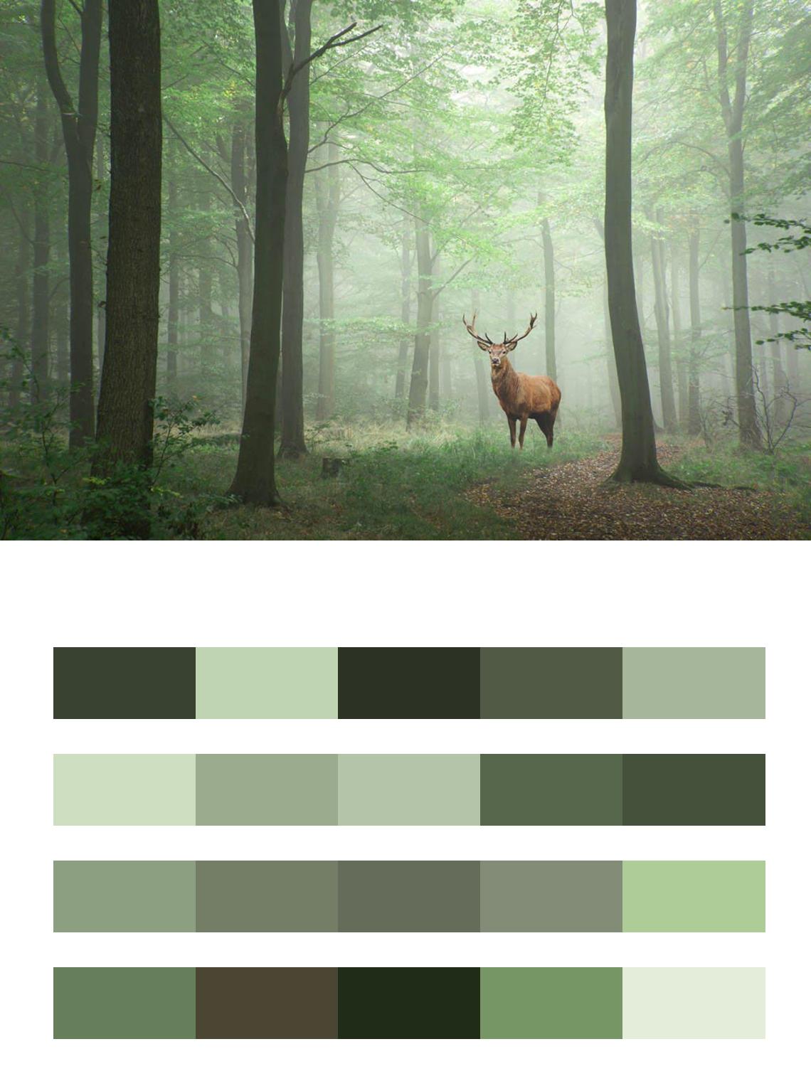 Зеленый лес с оленем цвета