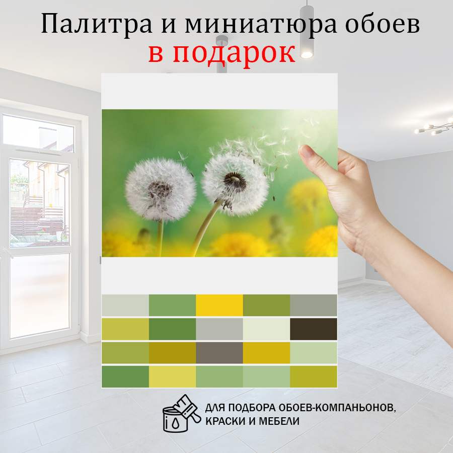 фотообои белые одуванчики 10-067