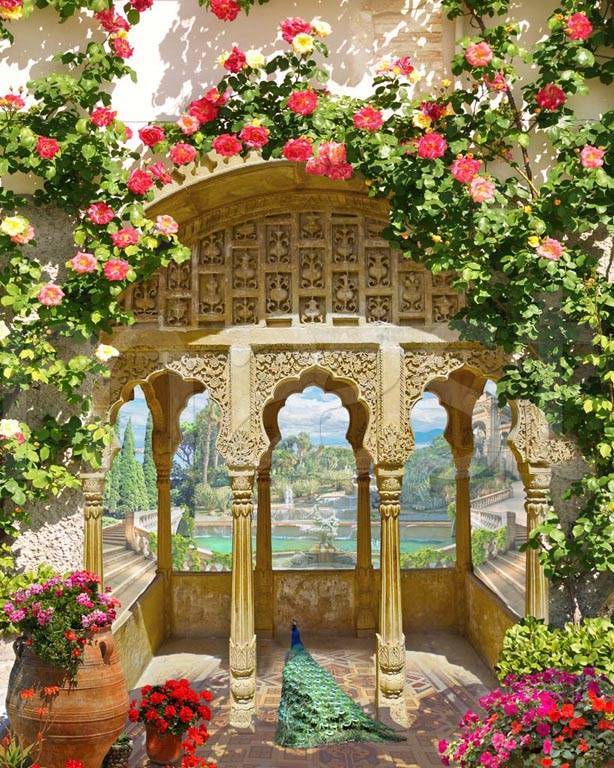 красивая беседка с павлином 5-011