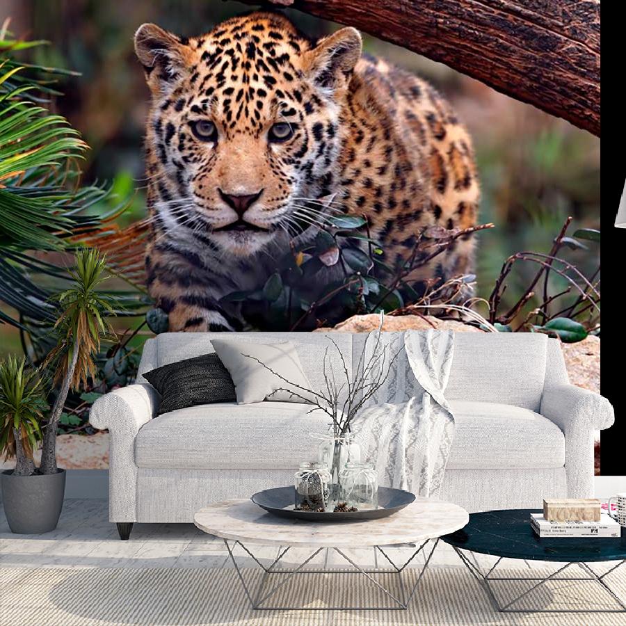 фотообои дикая кошка 9-265