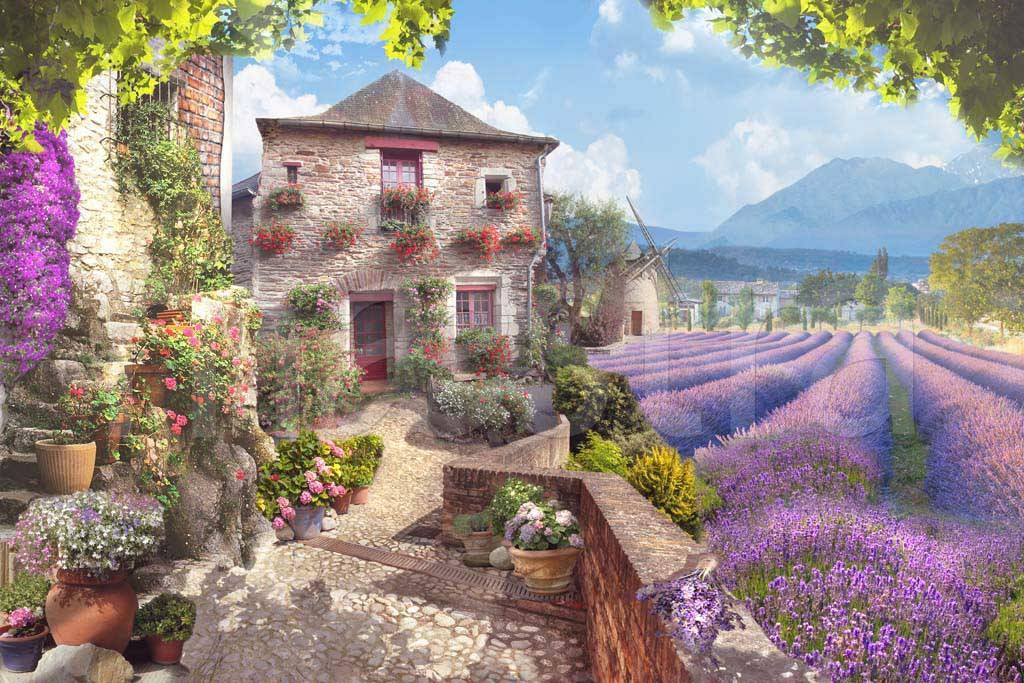 лаванда у старого дома 6-027 лаванда у старого дома 6-027