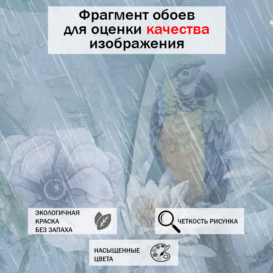 фотообои тропический лес в тумане 13-055