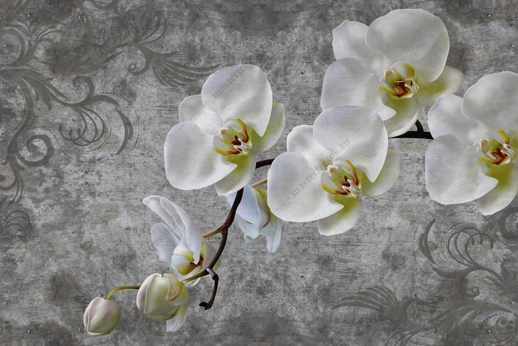 Фотообои 3д Ветка белой орхидеи