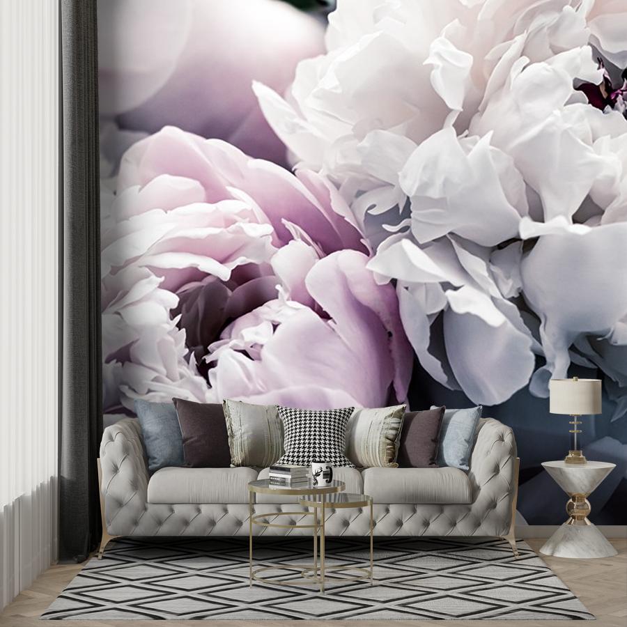 фотообои пионы белые фон 9-2037