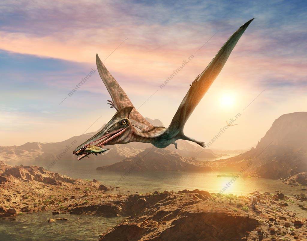 Фотообои Летающий динозавр