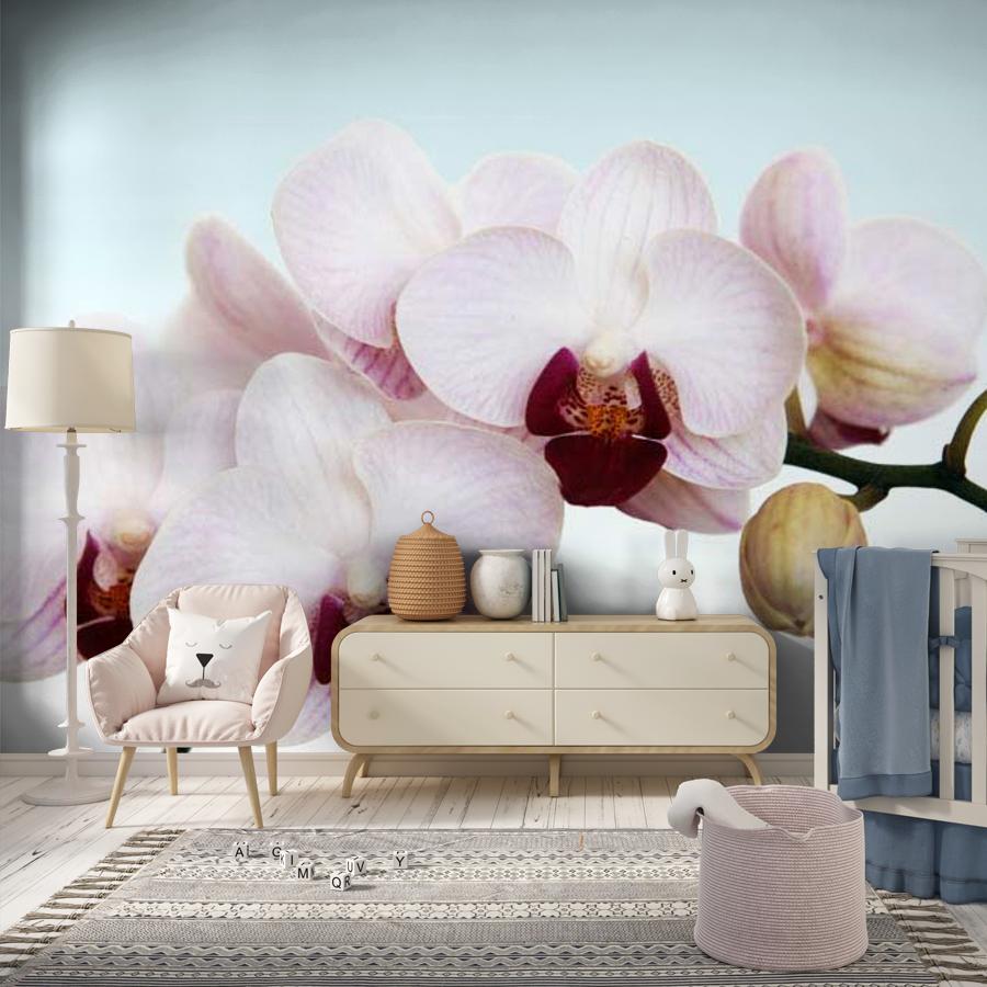 фотообои белая орхидея живописная 10-161