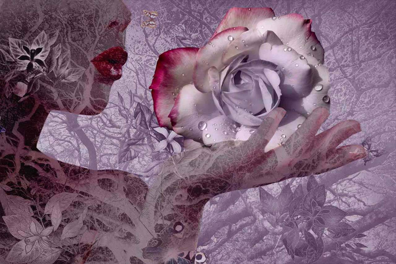 Фотообои Роза романтика в темных тонах