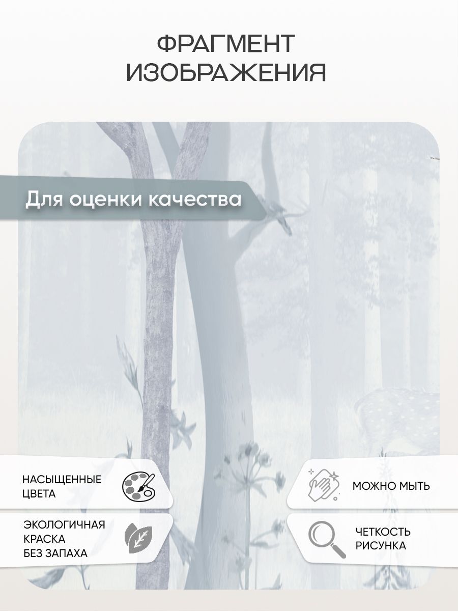Фотообои «Утро в сказочном лесу» 13-024 — крупный план