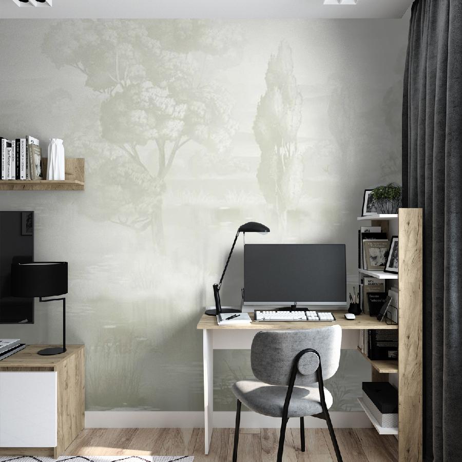 фотообои деревья оливковые 13-1076