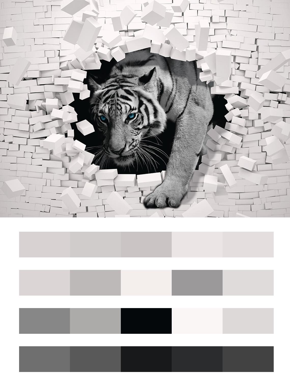 Тигр черно-белый 3D цвета