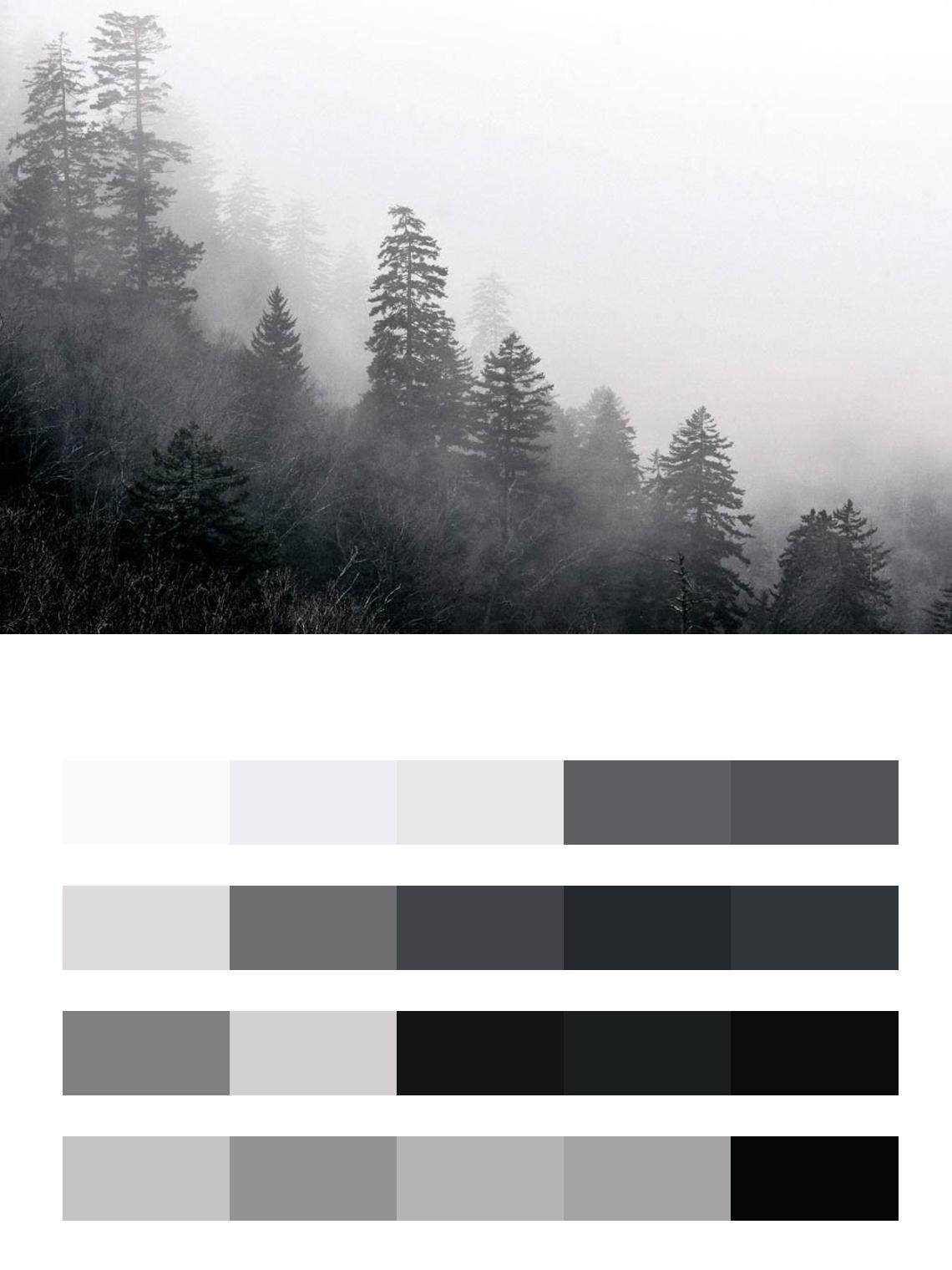 Красота тумана цвета
