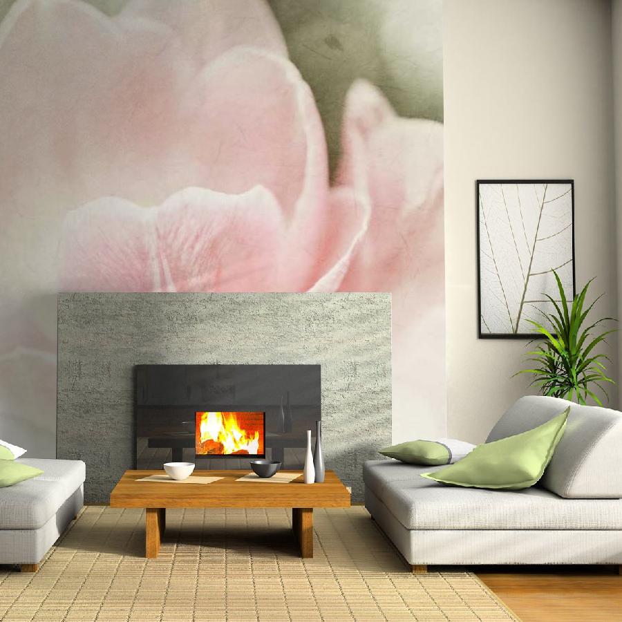 Фотообои Розовые бутоны тюльпанов 10-126