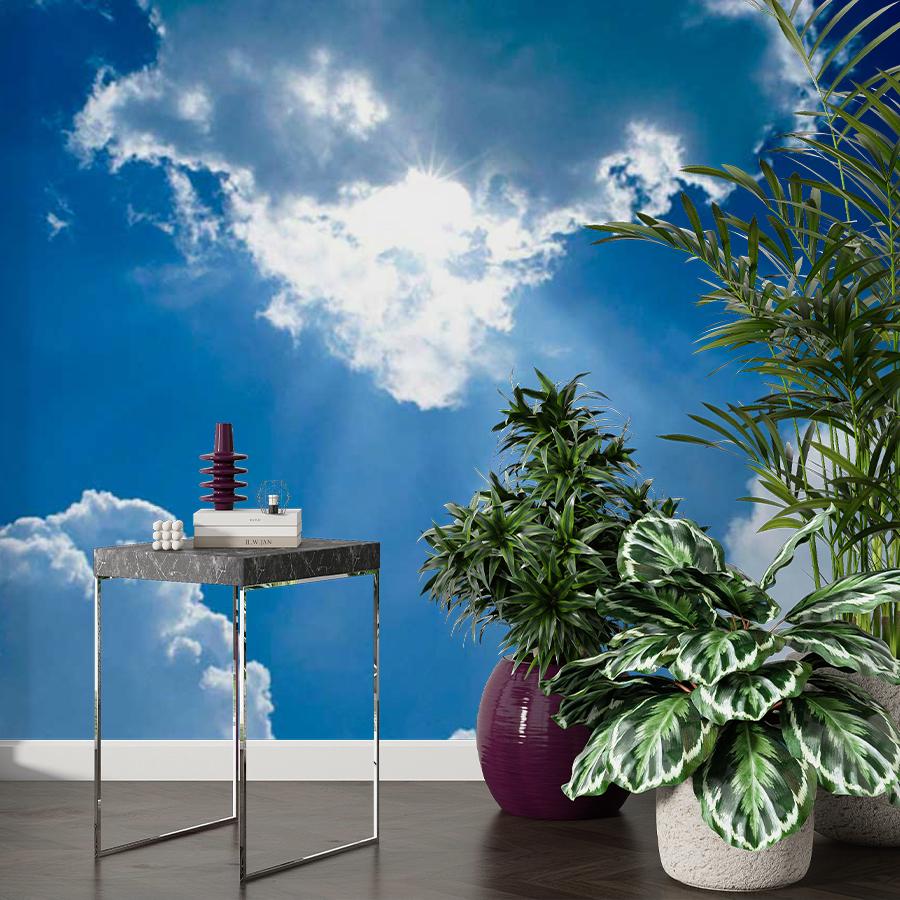 фотообои беззвездное небо с лучами солнца 9-395