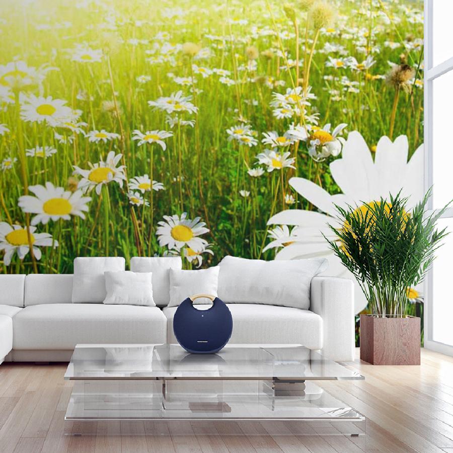 фотообои поле ромашек и лучи солнца 9-387