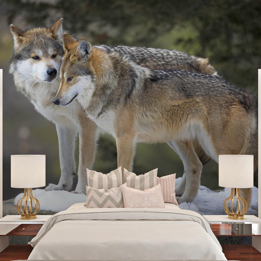 фотообои волки. двое. 9-2068