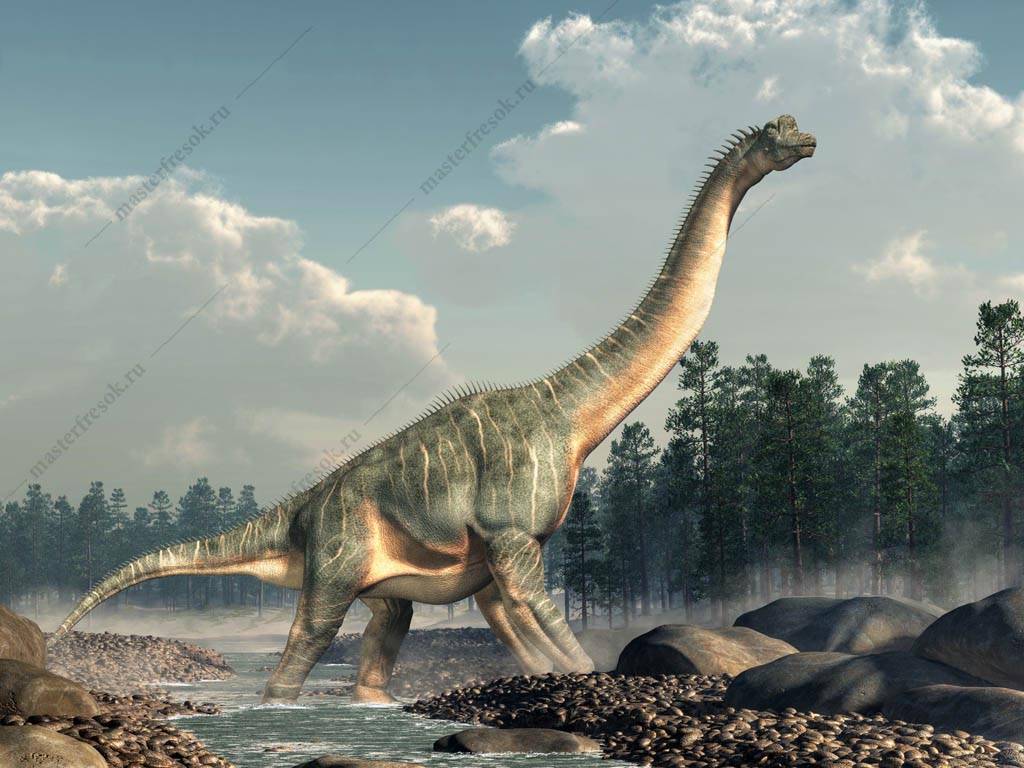 Фотообои Динозавр Брахиозавр в воде