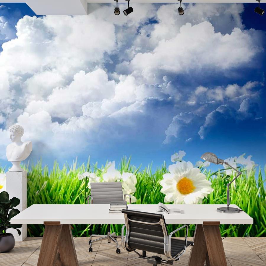 фотообои большие ромашки 3 д в поле и белые облака 9-388