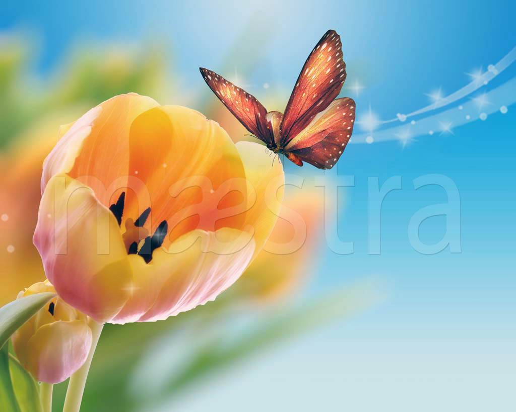 Фотообои Желтые тюльпаны и бабочка на стену, Арт. 4-095 купить в Москве в интернет-магазине, цены в Мастерфресок