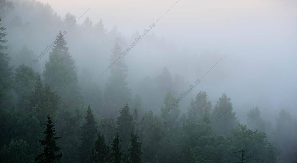 Фотообои Рассвет в тумане