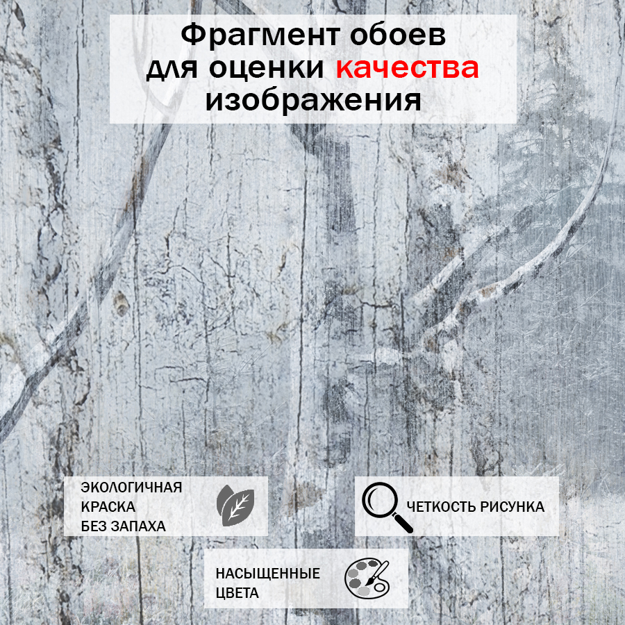 фотообои березы 13-074