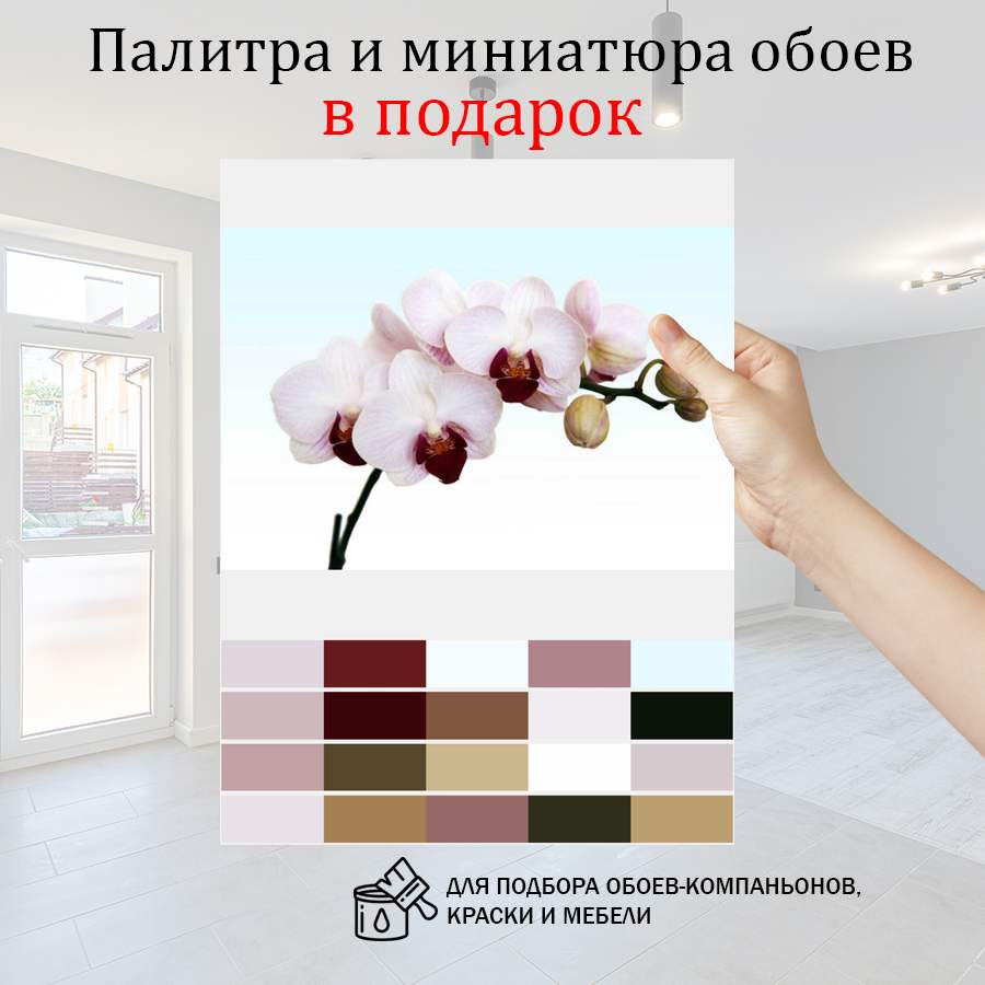 фотообои белая орхидея живописная 10-161